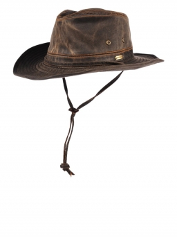 solid-dingo-in-brown