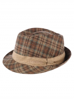 plaid-taylor-in-brown